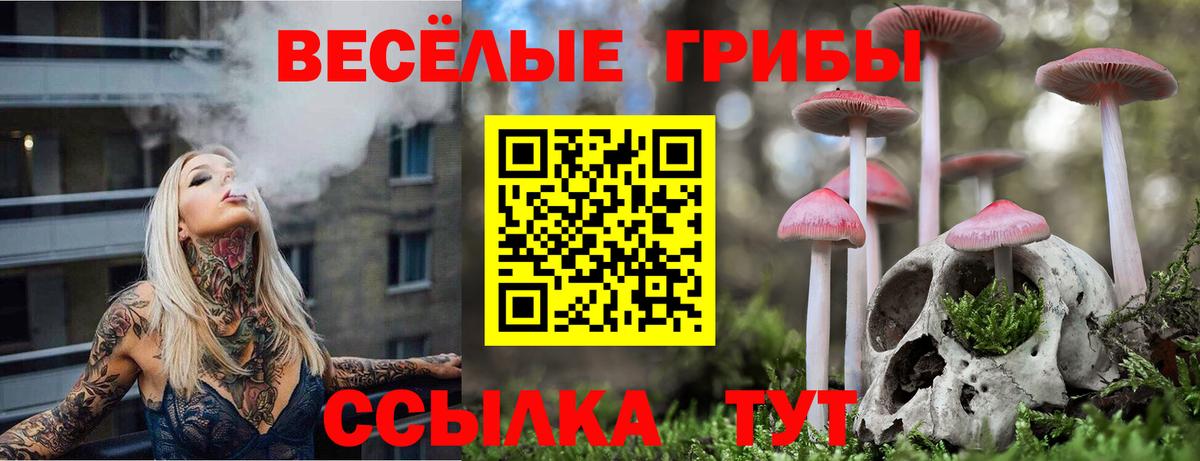 Галлюциногенные грибы Cubensis Воткинск